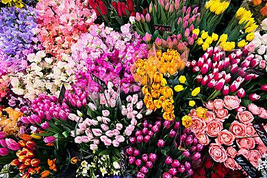 曝《明末：渊虚之羽》制作人夏思源曾被持剪刀人尾随 真吓人！