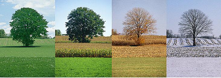 作曲家光田康典称《异度神剑3》OST还需要时间制作